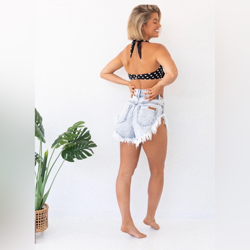Tacoola Honey Shorts